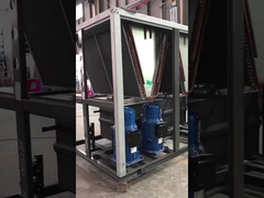 Компания Video_21