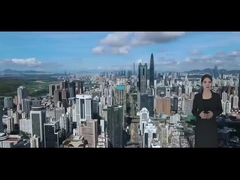 Введение компании